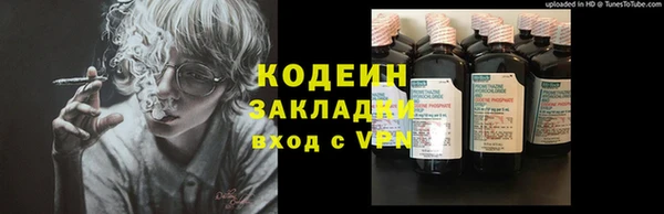 шишки Коряжма