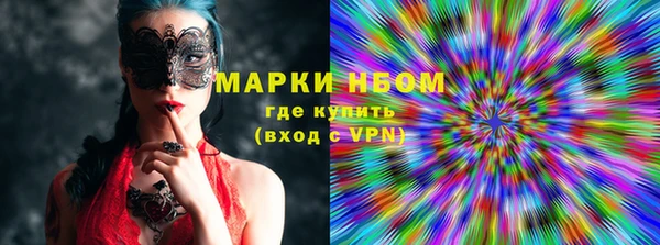 шишки Коряжма
