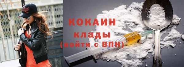 шишки Коряжма