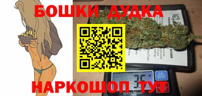 мдпв Кингисепп