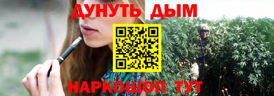 крисы Кинель
