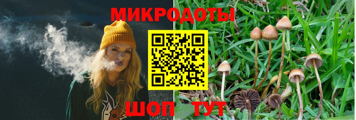 купить наркоту  Кулебаки  Галлюциногенные грибы Magic Shrooms 