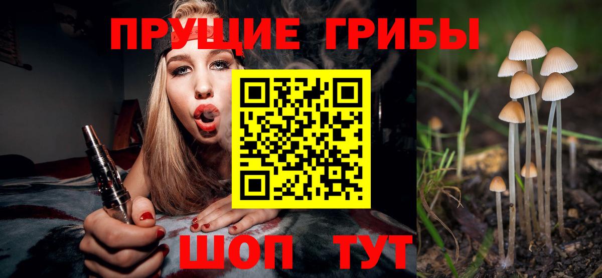 Кулебаки  Галлюциногенные грибы MAGIC MUSHROOMS  Вход с VPN 