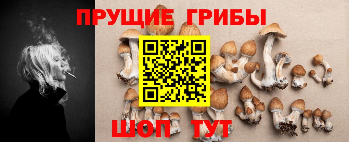 Псилоцибиновые грибы мицелий Кулебаки